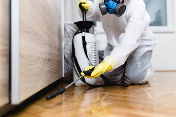 Best Pest Control Near Me in Gaffney, SC