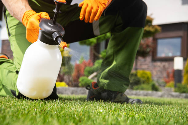 Best Affordable Exterminators  in Gaffney, SC