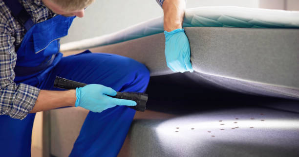 Best Wasp Removal Services  in Gaffney, SC