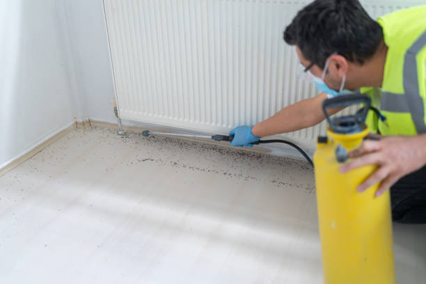 Best Pest Removal Services  in Gaffney, SC