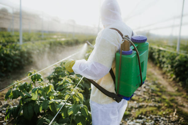 Best Commercial Pest Control Services  in Gaffney, SC